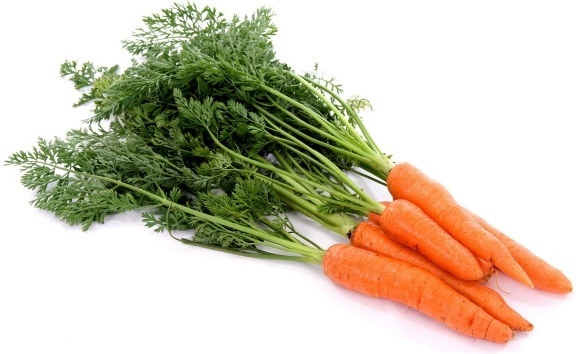 carrot farming in Nigeria